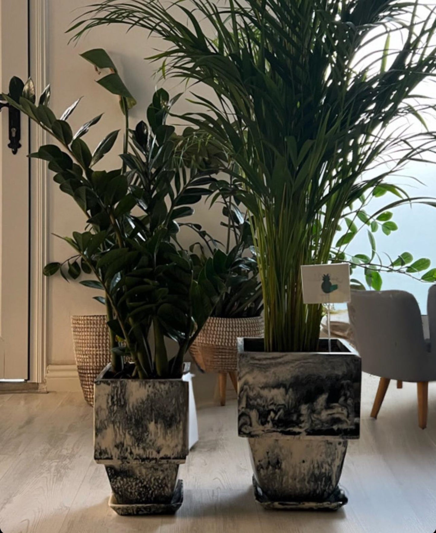 Plant Pot in Grey Resin - Small With Plant