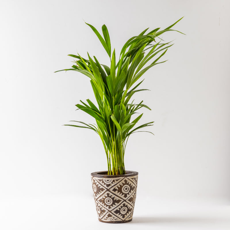 Brown Small Carved Wooden Vase - Without Plant