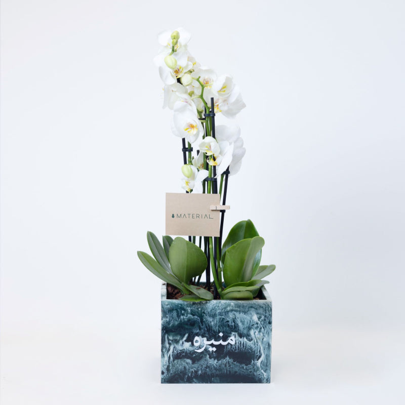 Orchids in a Customized Resin Vase - Green