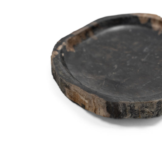Petrified Wood Platter