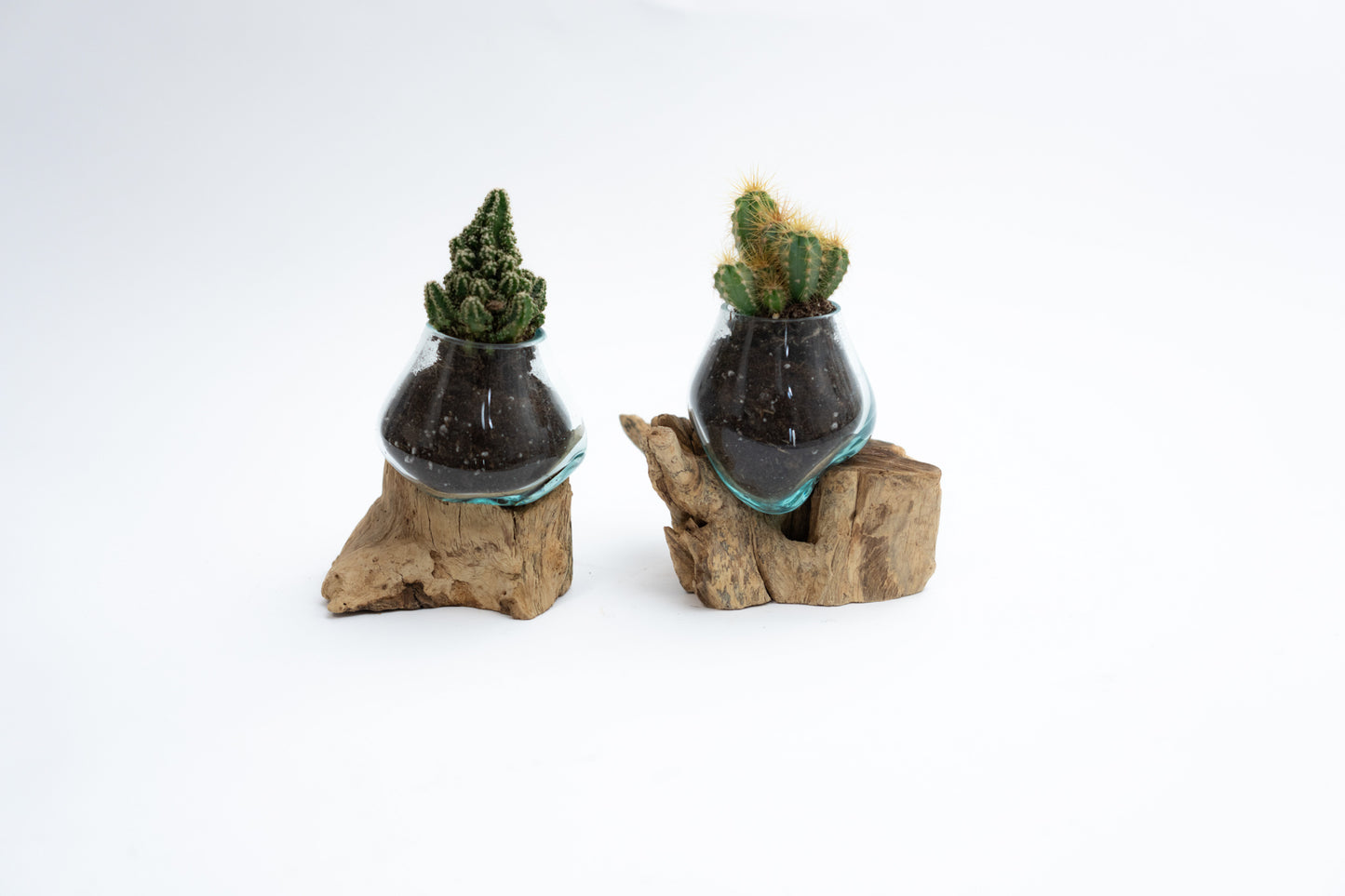 Mini Wood x Glass Vase