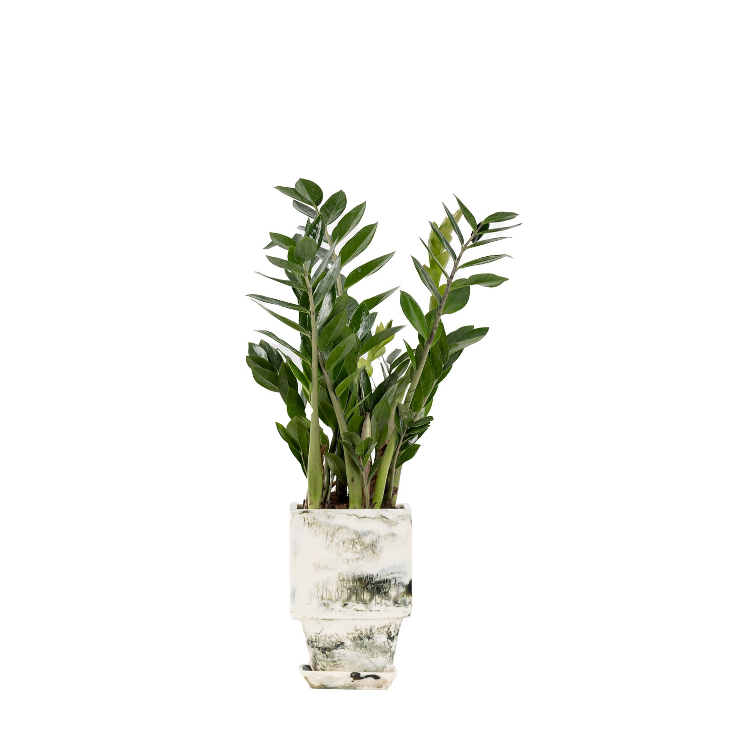 Plant Pot in Beige Resin - Small
