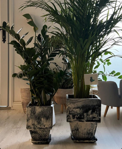 Plant Pot in Grey Resin - Small With Plant