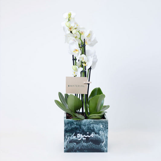 Orchids in a Customized Resin Vase - Green