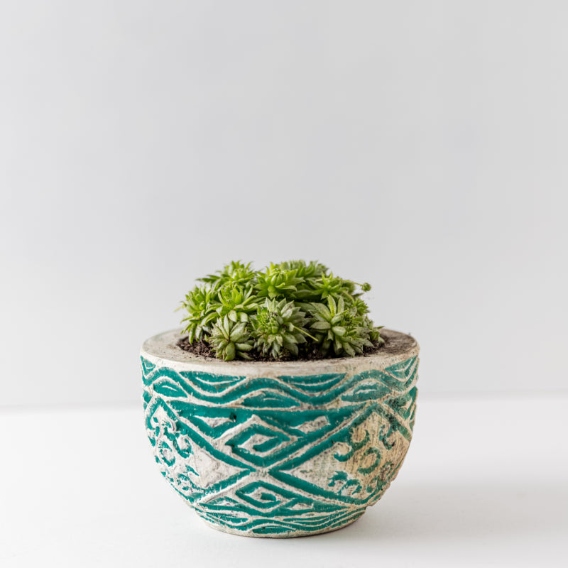 White & Turquoise Small Wooden Vase - Without Plant