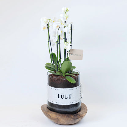 XL Wood x Glass Vase with Orchids - Customized