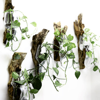 Hanging Wood x Glass Vase