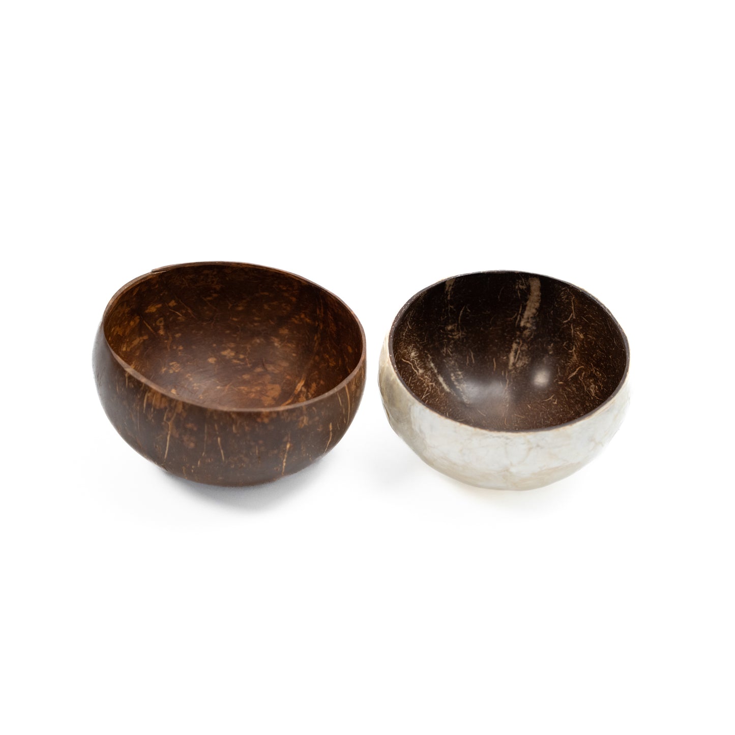 Small Coconut Bowl x Shell