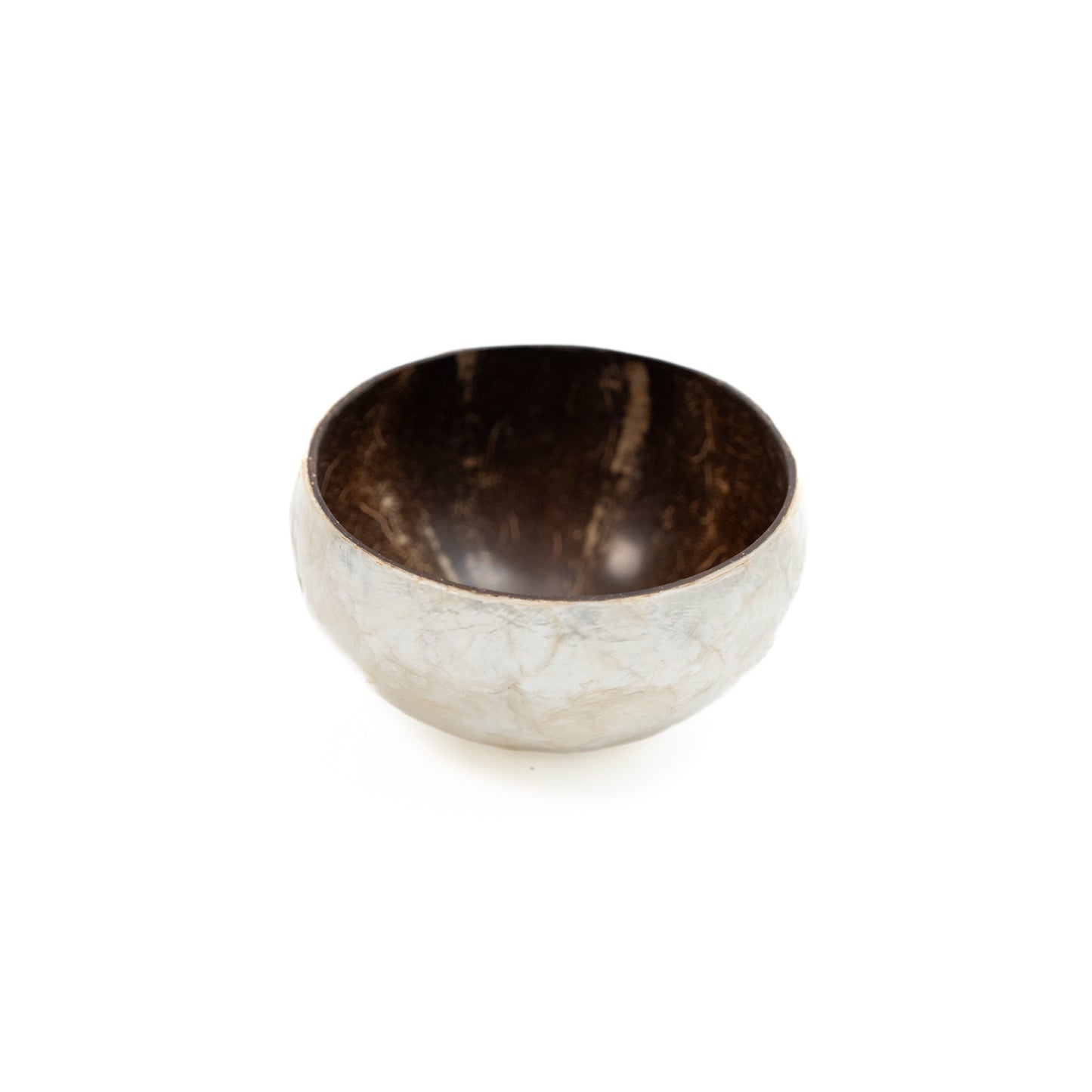 Small Coconut Bowl x Shell