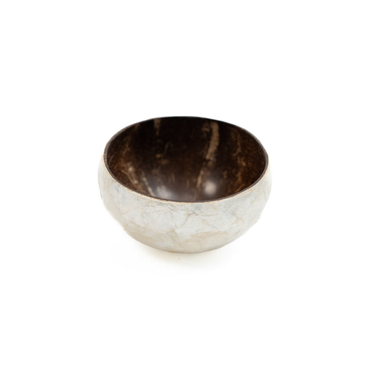 Small Coconut Bowl x Shell