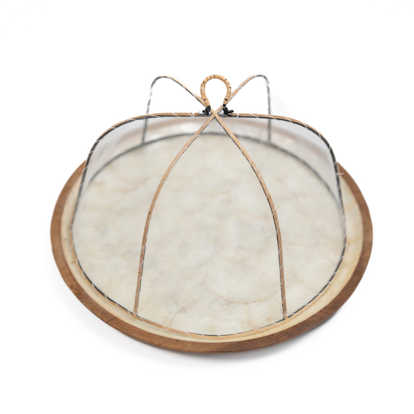 Wood x Shell Plate with Cover