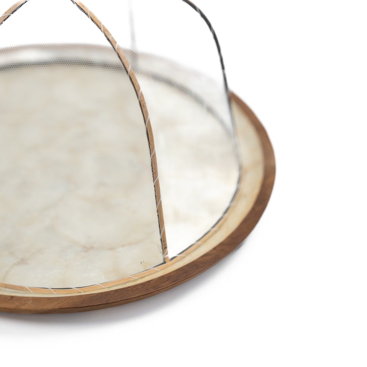 Wood x Shell Plate with Cover