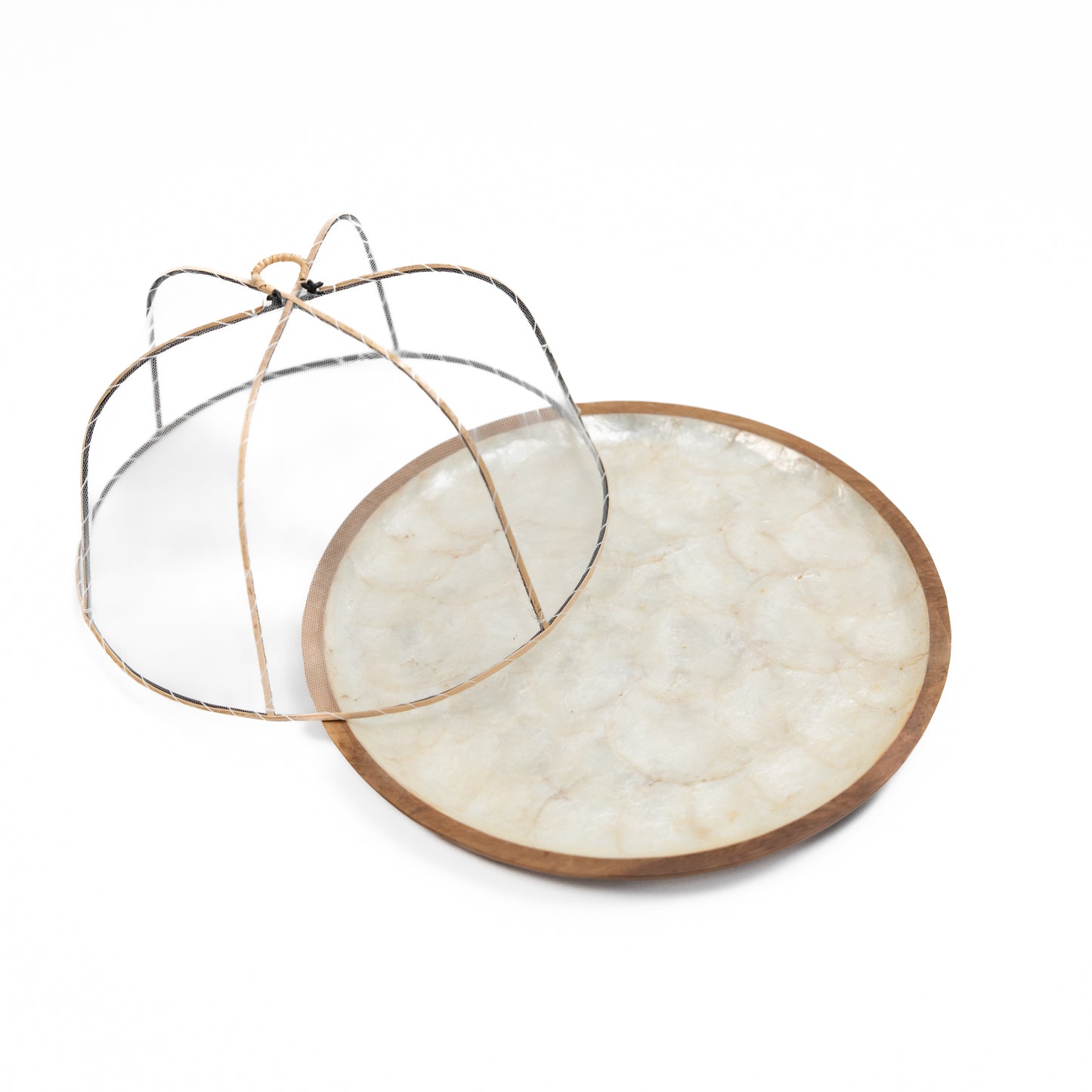 Wood x Shell Plate with Cover