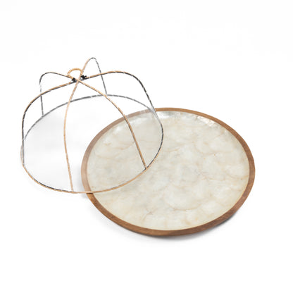 Wood x Shell Plate with Cover
