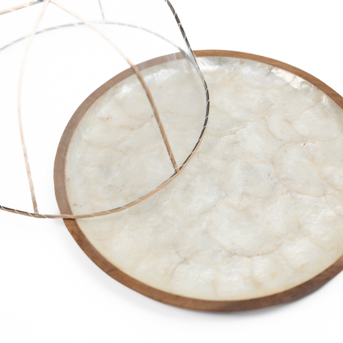 Wood x Shell Plate with Cover