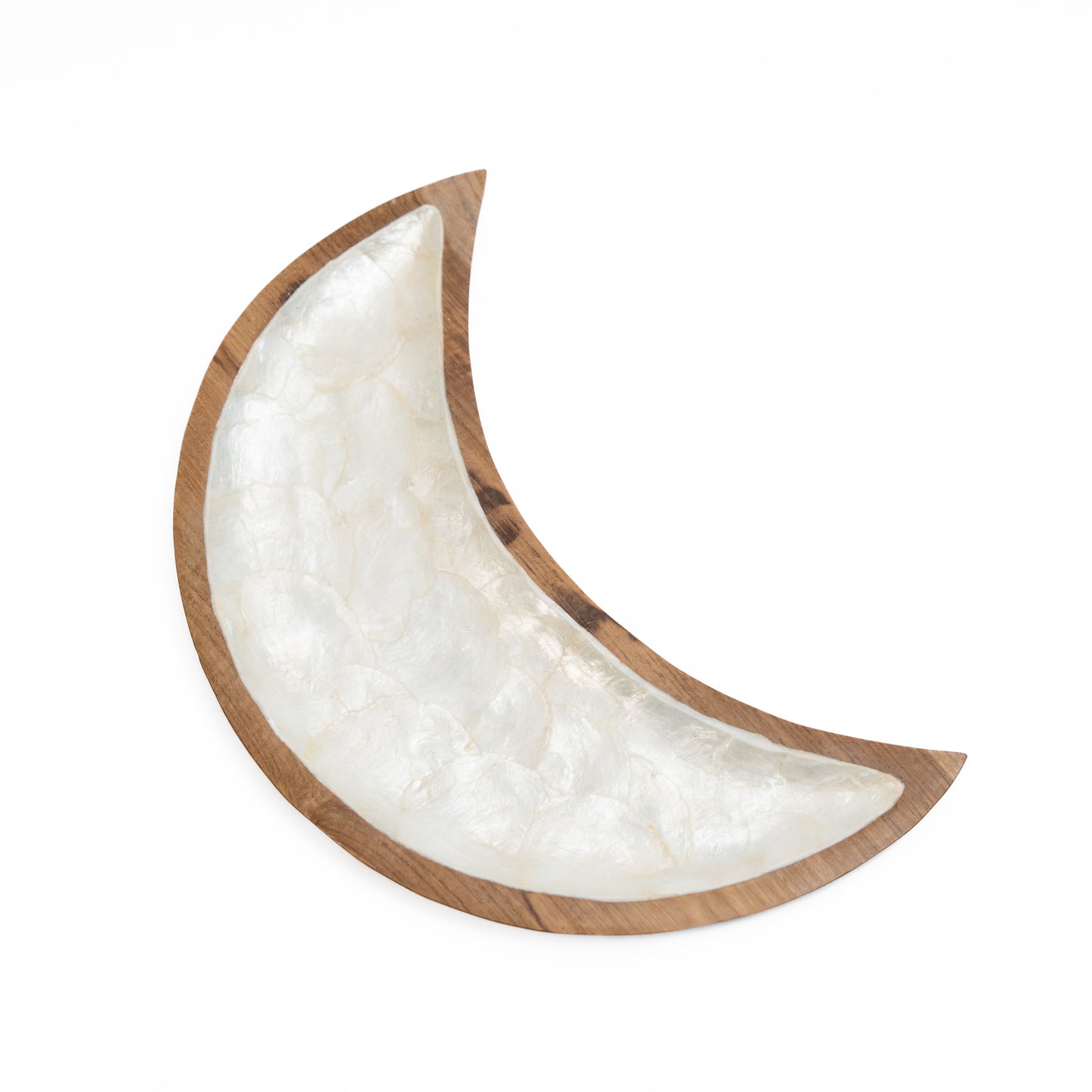 Wood x Shell Plates - Set of 2