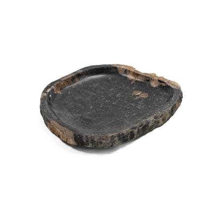 Petrified Wood Platter