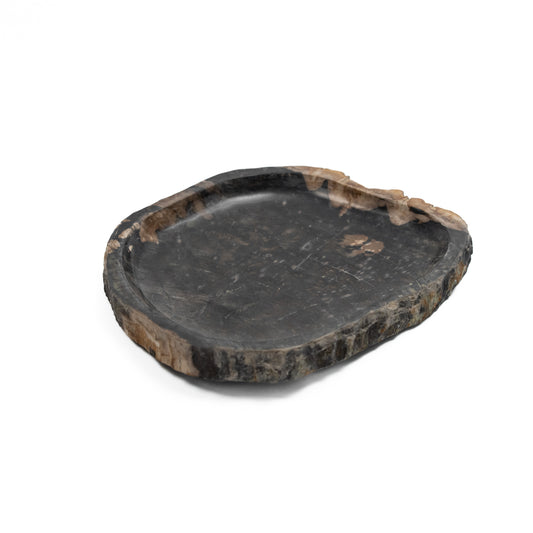Petrified Wood Platter