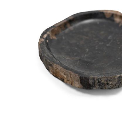 Petrified Wood Platter