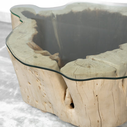 Tamarind Wood Center Table