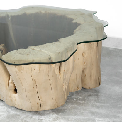 Tamarind Wood Center Table