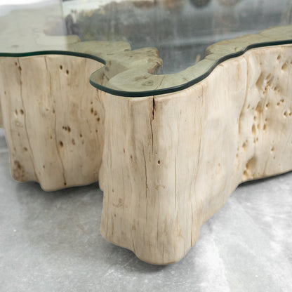 Tamarind Wood Center Table