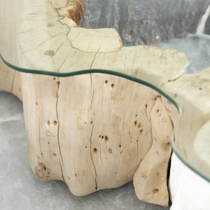 Tamarind Wood Center Table