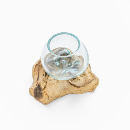 Mini Giveaway Wood x Glass Vase - 20 Pieces With Plant