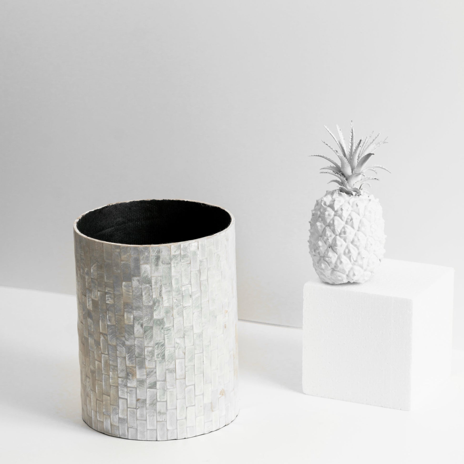 gid://shopify/MediaImage/36977456480499