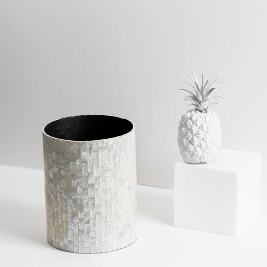 gid://shopify/MediaImage/36977456480499