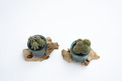 Mini Wood x Glass Vase