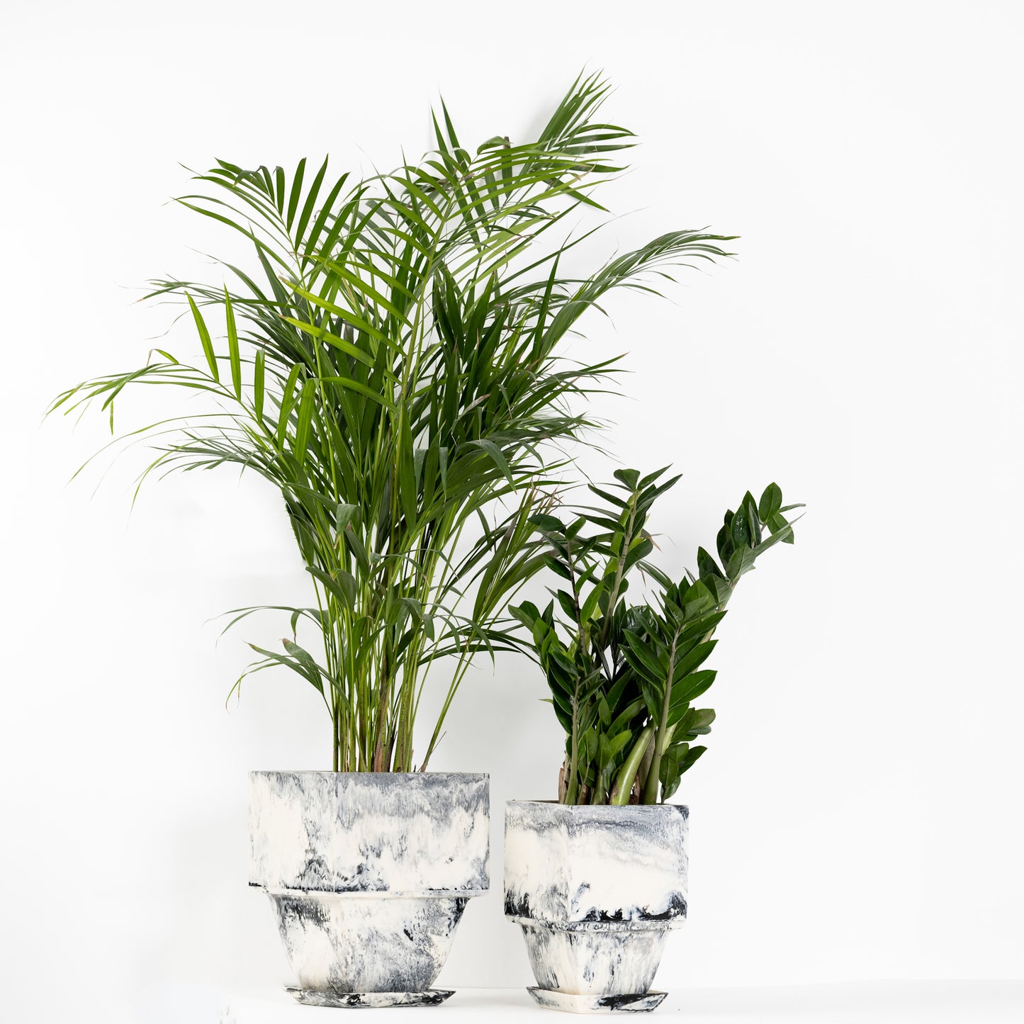 Plant Pot in Grey Resin - Small With Plant