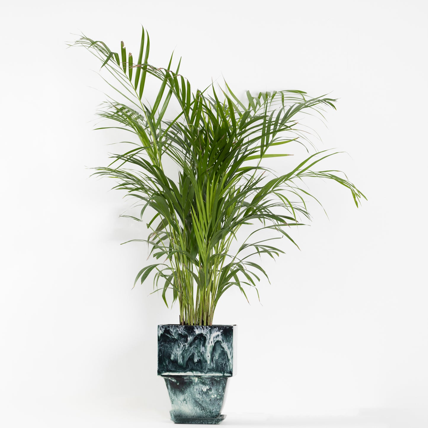 Plant Pot in Green Resin - Large With Plant