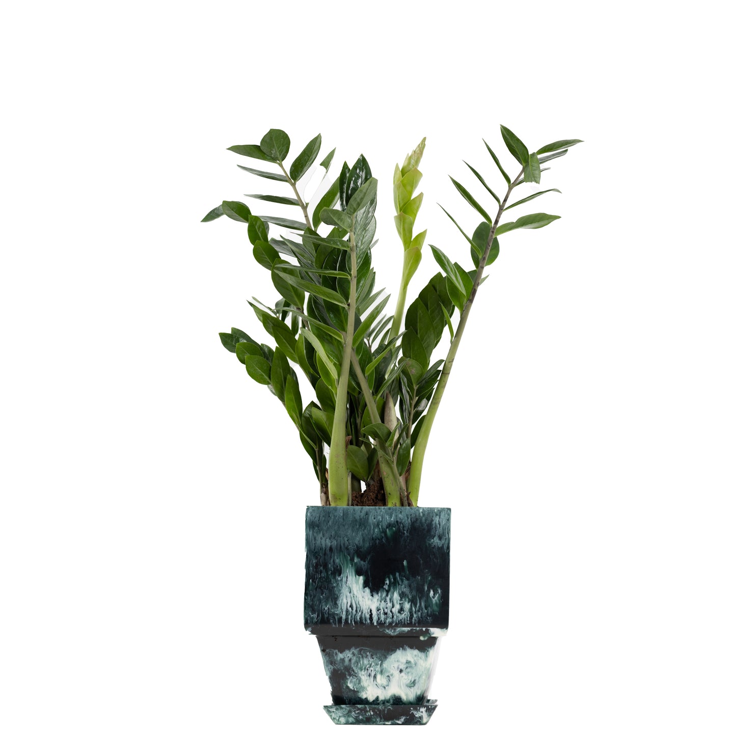 Plant Pot in Green Resin - Small