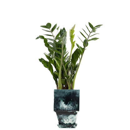 Plant Pot in Green Resin - Small