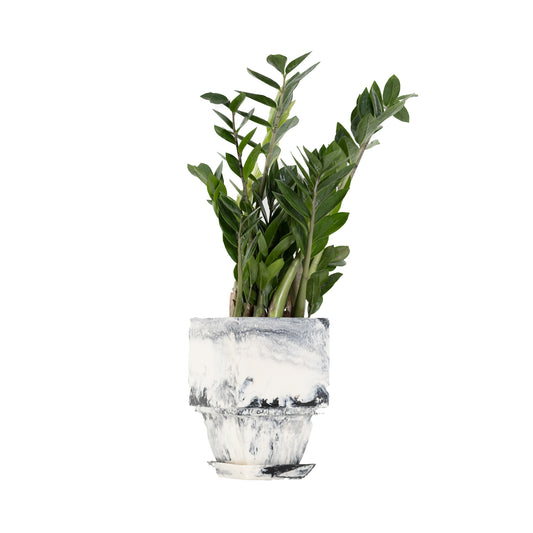 Plant Pot in Grey Resin - Small With Plant