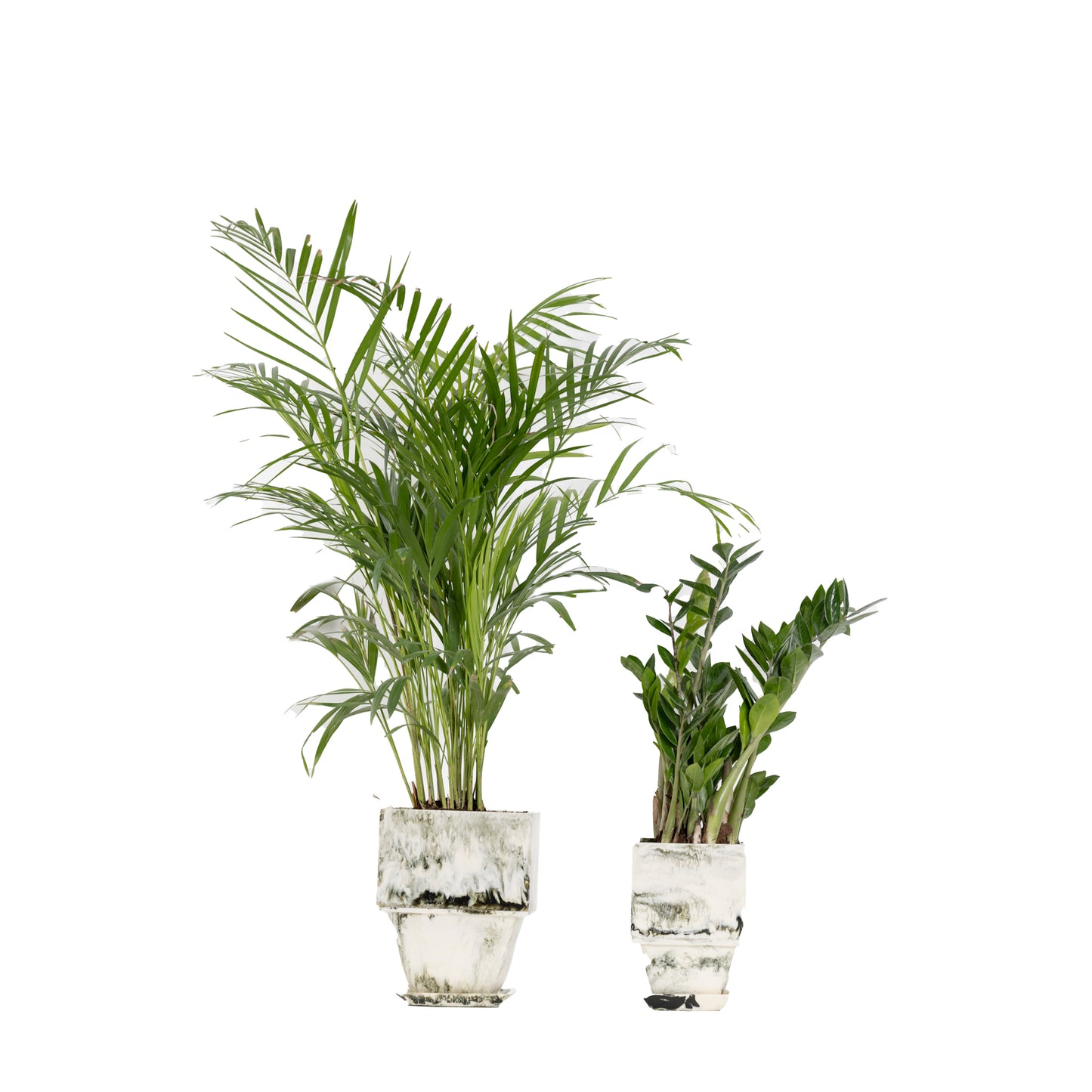 Plant Pot in Beige Resin - Large With Plant