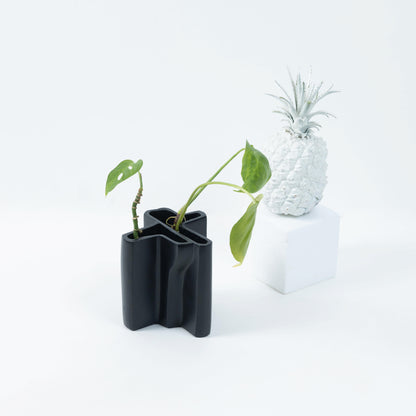 Black Vase