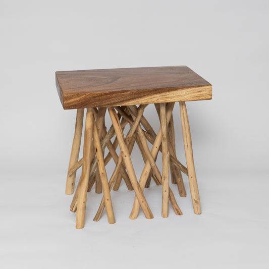 Roots Wooden Stool