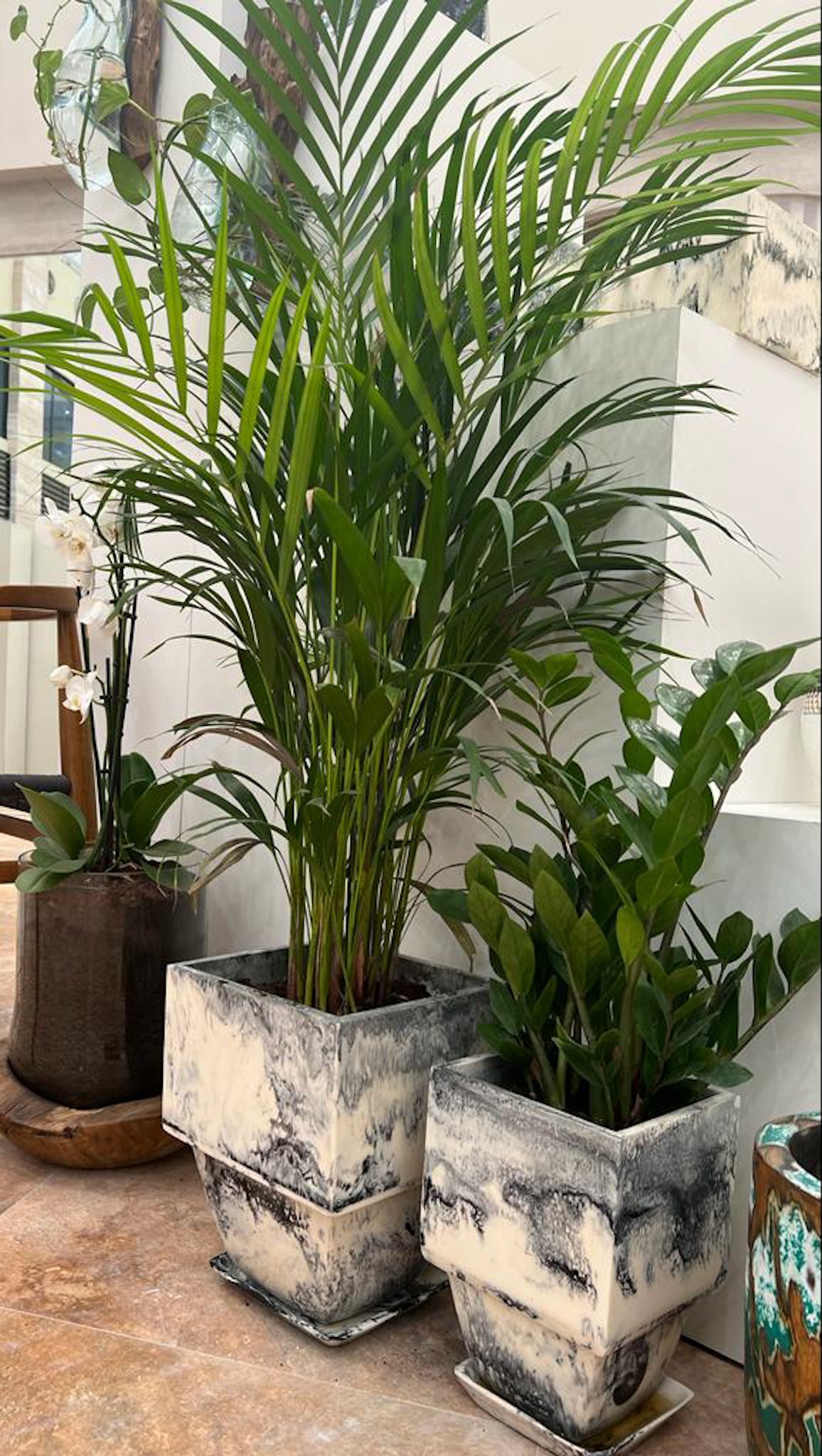 Plant Pot in Grey Resin - Small With Plant